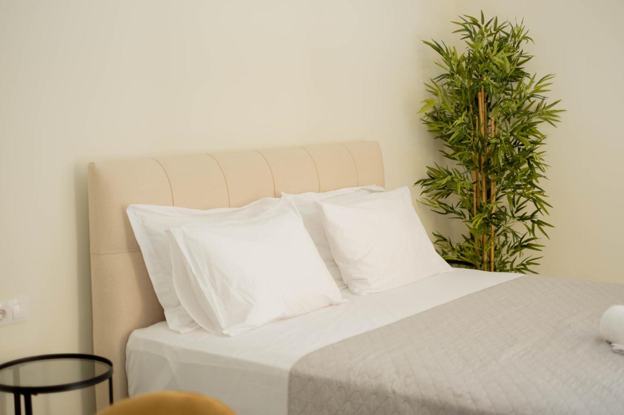 Living Culture Apartments Αθήνα Εξωτερικό φωτογραφία